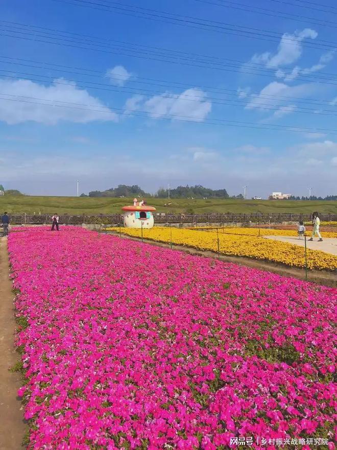 农业旅游中特色种植的成功案例研究
